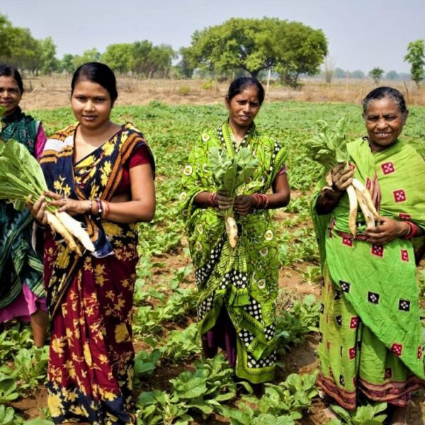 Vedanta Aluminium’s ‘Jeevika Samriddhi’ project nurtures growth and prosperity for Jharsuguda Farmers