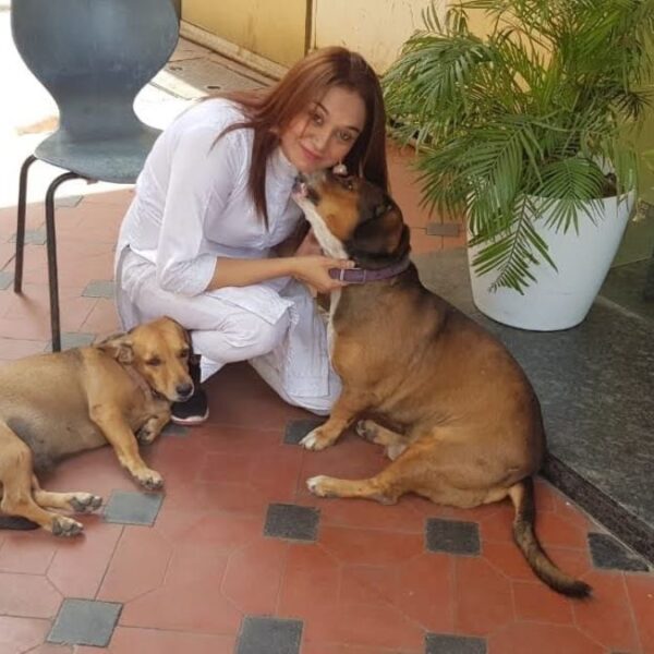 The dumb one is my life, the second home of the dumb dogs is Lucky Mishra’s house