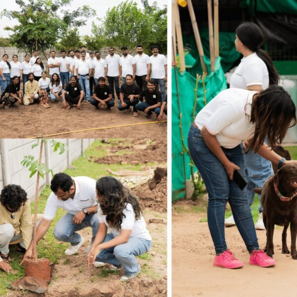 Ratnaakar Group Joins Hands with Barkville Foundation to Create a Green Oasis for Rescued Animals