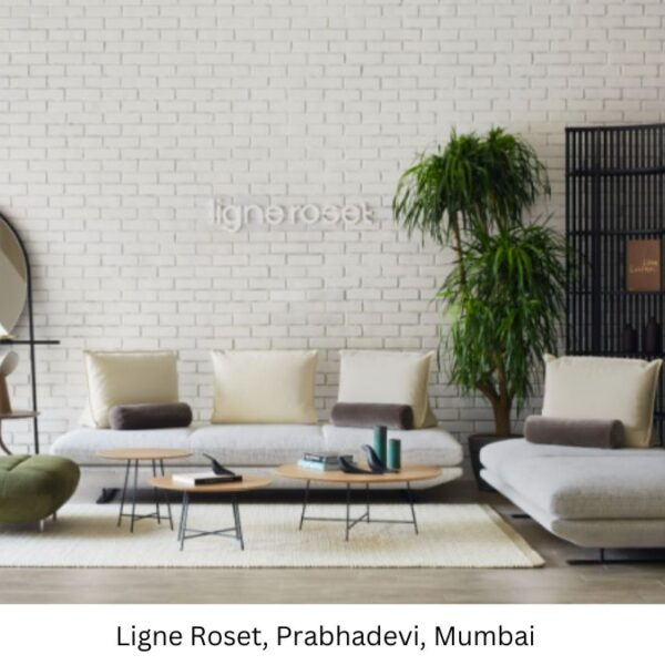 Luxury French furniture brand Ligne Roset opens its first exclusive store in India, in association with Burgundy Brand Collective