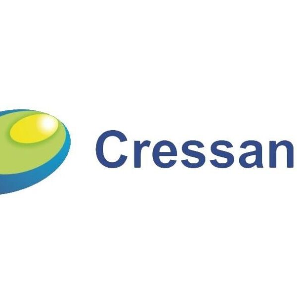 Cressanda Posts Impressive Revenue Rise In the Third Quarter 2023-2024