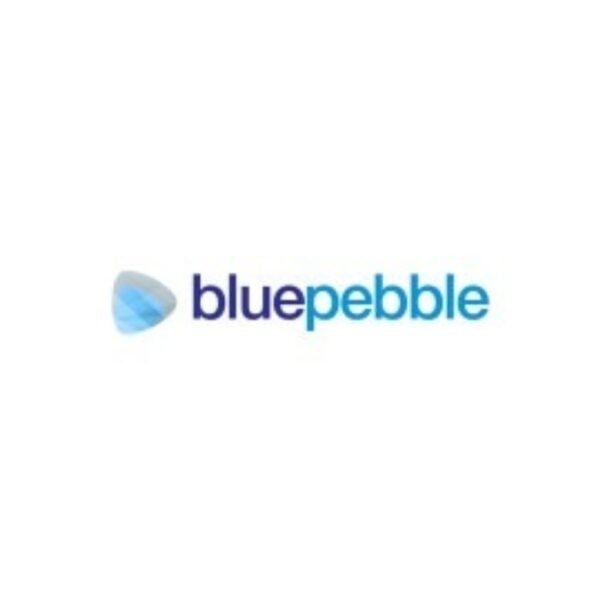 Blue Pebble Limited IPO To Open On 26th March, Sets Price Band At Rs 159 to Rs 168 Per Share