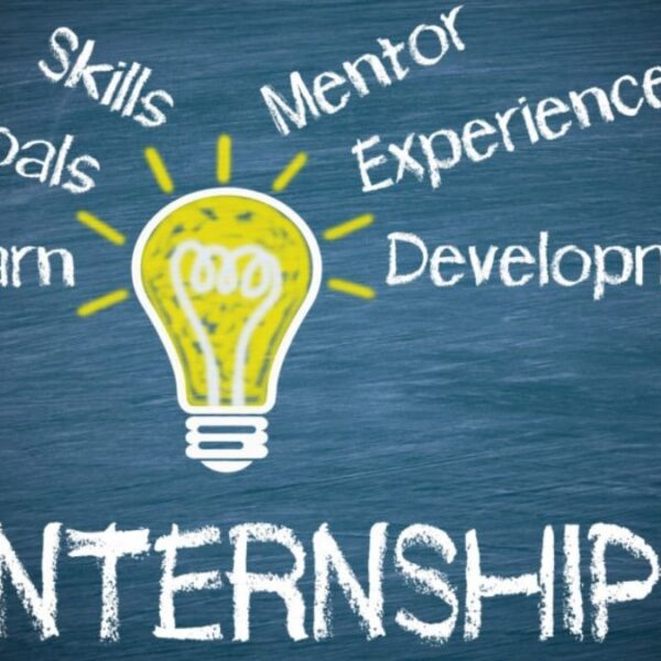 Blue Arrow Technologies partners with Medhavi Skills University to offer internships and industry exposure for Undergraduate students