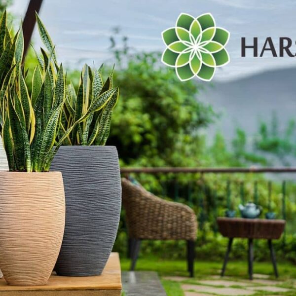 Harshdeep Hortico Limited Reports Strong Operating Results for the year Ended March 31, 2024
