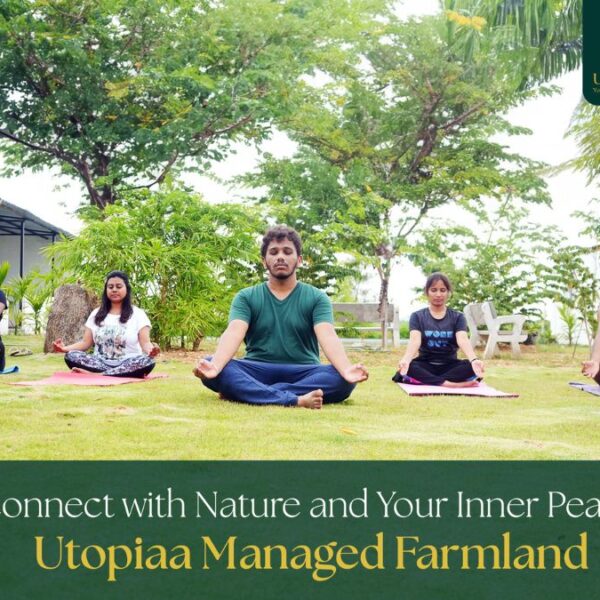 Reconnect with Nature and Your Inner Peace at Utopiaa Managed Farmlands