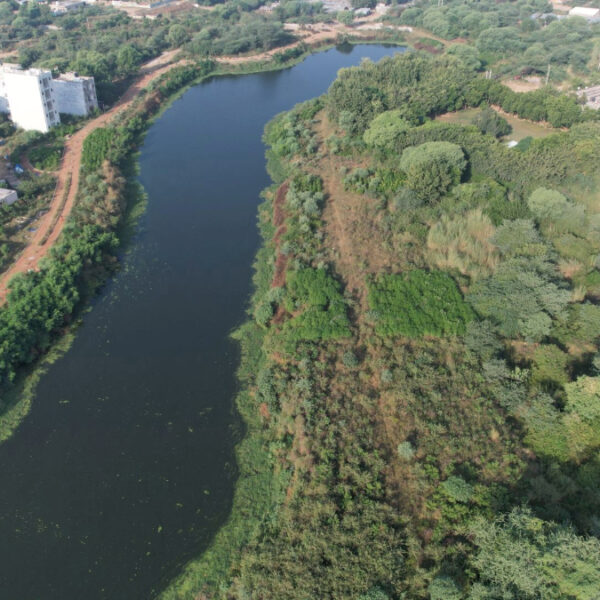 SEEDS Champions Nature-Based Solutions to Revive Water Bodies Across India